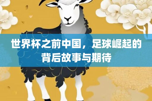 世界杯之前中国，足球崛起的背后故事与期待