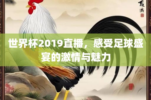 世界杯2019直播，感受足球盛眉山市正发家政服务有限公司宴的激情与魅力
