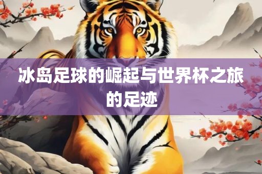 冰岛足球的崛起与世界杯之旅的足迹