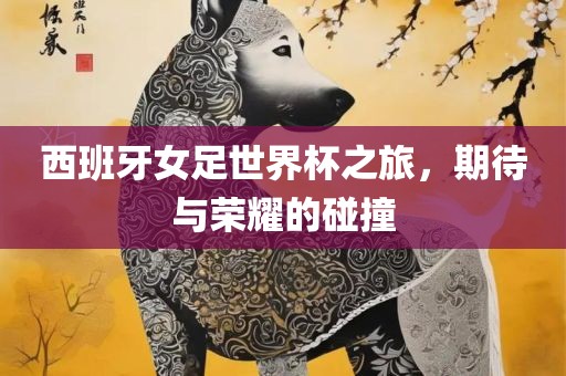 西班牙女足世界杯之旅，期待与荣耀的碰撞