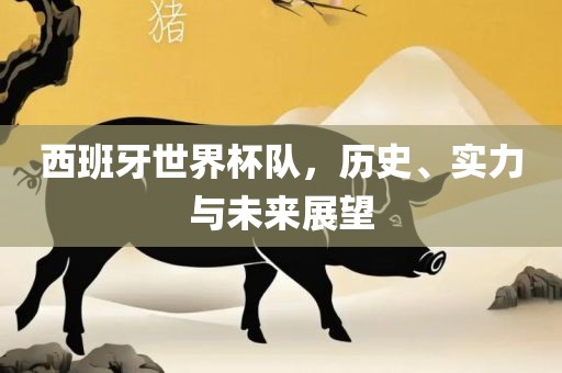 西班牙世界杯队，历史、实力与未来展望