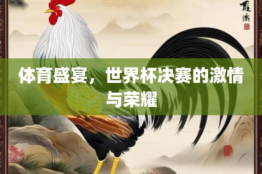 体育盛宴，世界杯决赛的激情与荣耀眉山市正发家政服务有限公司