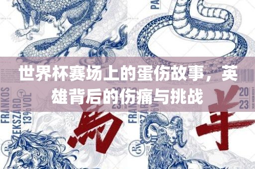 世界杯赛场上的蛋伤故事，英雄背后的伤痛与挑战眉山市正发家政服务有限公司
