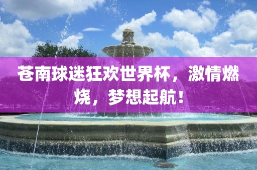 苍南球迷狂眉山市正发家政服务有限公司欢世界杯，激情燃烧，梦想起航！