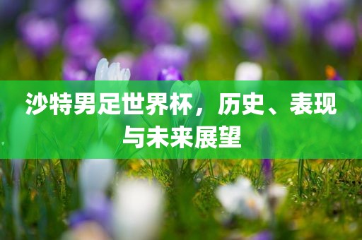 沙特男足世界杯，历史、表现与未来展望