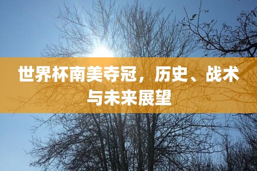 世界杯南美夺冠，历史、战术与未来展望
