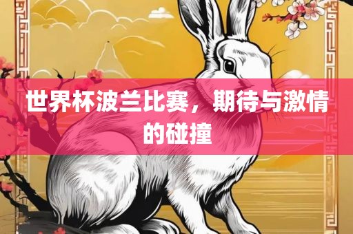 世界杯波兰比赛，期待与激情的碰撞