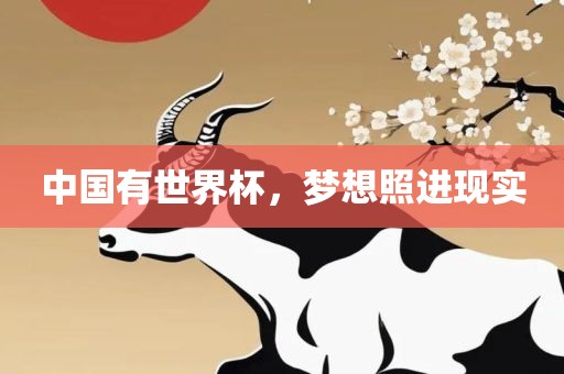 中国有世界杯，梦想照进现实