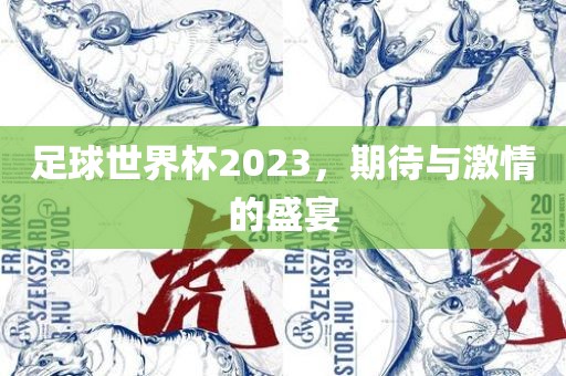 足球世界杯2023，期待与激情的盛宴