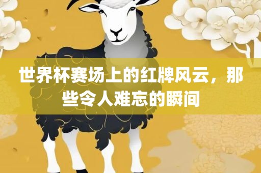 世界杯赛场上的红牌风云，那些令人难忘的瞬间