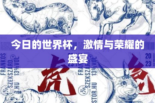 今日的世界杯眉山市正发家政服务有限公司，激情与荣耀的盛宴