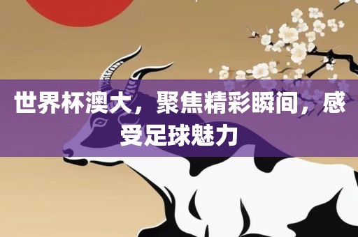 世界杯澳大，聚焦精彩瞬间，感受足球魅力
