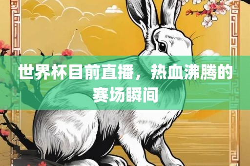 世界杯目前直播，热血沸腾的赛场瞬间眉山市正发家政服务有限公司