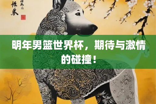 明年男篮世界杯，期待与激情的碰撞！