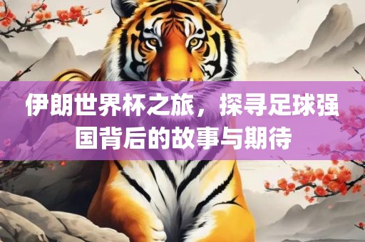 伊朗世界杯之旅，探寻足球强国背后的故事与期待