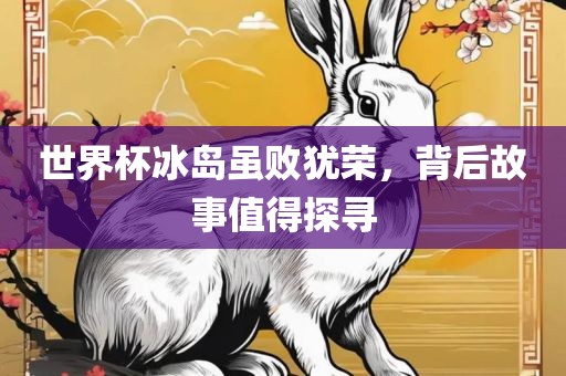 世界杯冰岛虽败犹荣，背后故事值得探寻