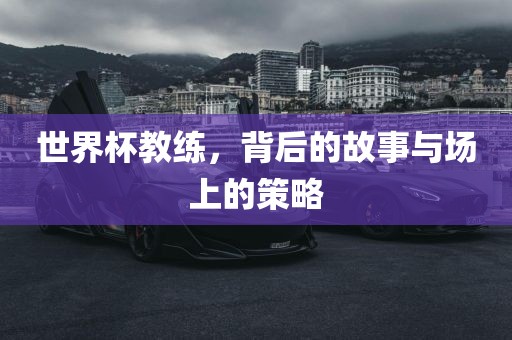 世界杯教练，背后的故事与场上的策略眉山市正发家政服务有限公司