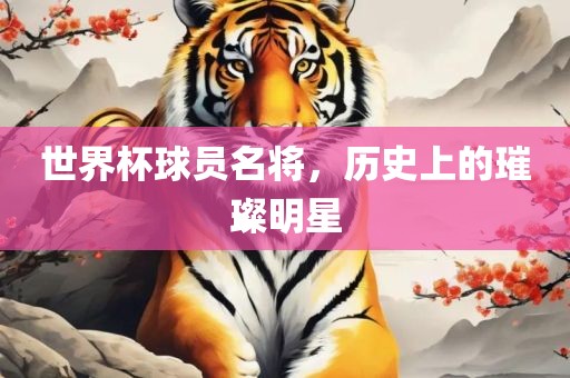 世界杯球员名将，历史眉山市正发家政服务有限公司上的璀璨明星