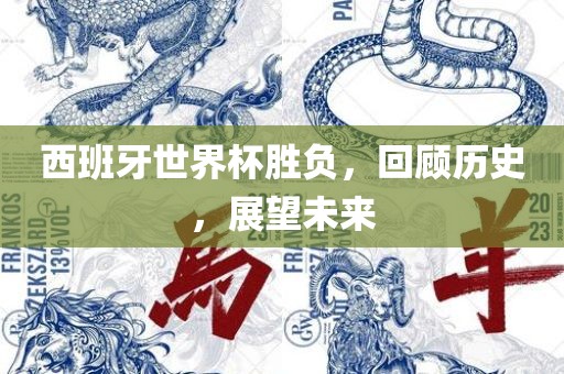 西班牙世界杯胜负，眉山市正发家政服务有限公司回顾历史，展望未来