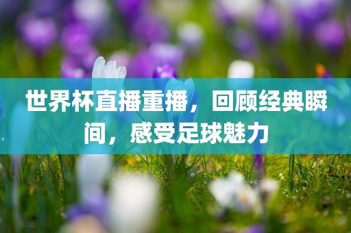 世界杯直播重播，回顾经典瞬间，感受足球魅力