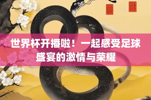 世界杯开播啦！一起感受足球盛宴的激情与荣耀眉山市正发家政服务有限公司