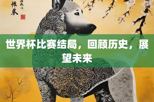 世界杯比赛结局，回顾历史，展望未来