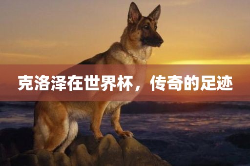 眉山市正发家政服务有限公司克洛泽在世界杯，传奇的足迹