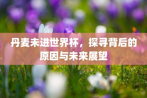 丹麦未进世界杯，探寻背后的原因与未来展望