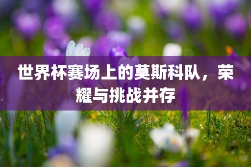 世界杯赛场上的莫斯科队，荣耀与挑战并存