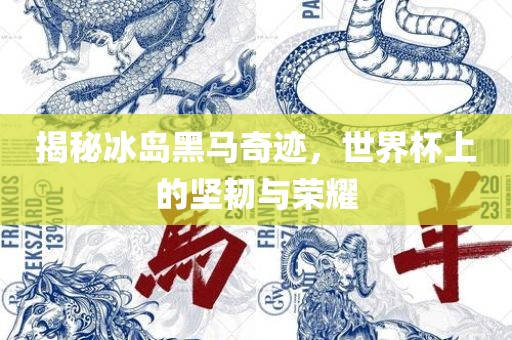 揭秘冰岛黑马奇迹，世界杯上的坚韧与荣耀眉山市正发家政服务有限公司