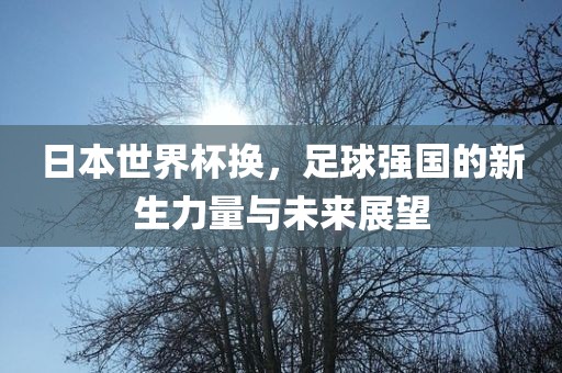 日本世界杯换，足球强国的新生力量与未来展望
