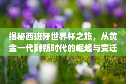揭秘西班牙世界杯之旅，从黄金一代到新时代的崛起与变迁