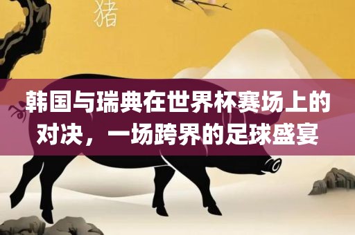 韩国与瑞典在世界杯赛场上的对决，一场跨界的足球盛宴