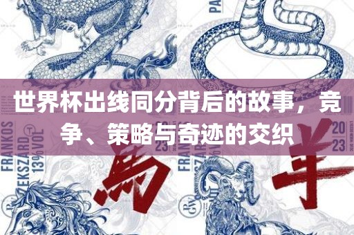 世界杯出线同分背后的故事，竞争、策略与奇迹的交织