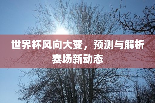 世界杯风向大变，预测与解析赛场新动态眉山市正发家政服务有限公司