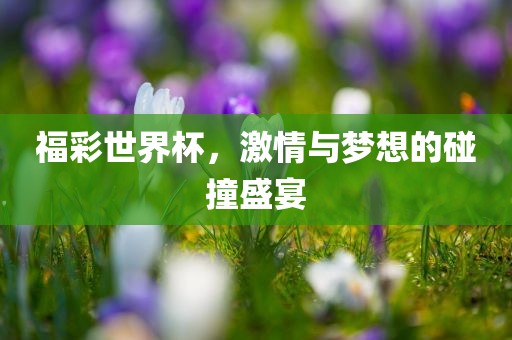 福彩世界杯，激情与梦想的碰撞盛宴眉山市正发家政服务有限公司
