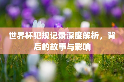 世界杯犯规记录深度解析，背后的故事与影响