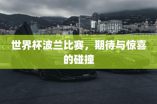 世界杯波兰比赛，期待与惊喜的碰撞眉山市正发家政服务有限公司