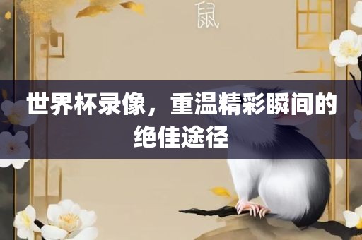 世界杯录像，重温精彩瞬间的绝佳途径眉山市正发家政服务有限公司