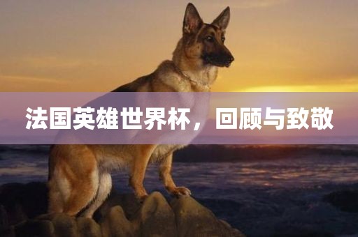 法国英雄世界杯，回顾与致敬眉山市正发家政服务有限公司