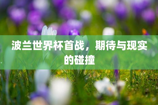 波兰世界杯首战，期待与现实眉山市正发家政服务有限公司的碰撞