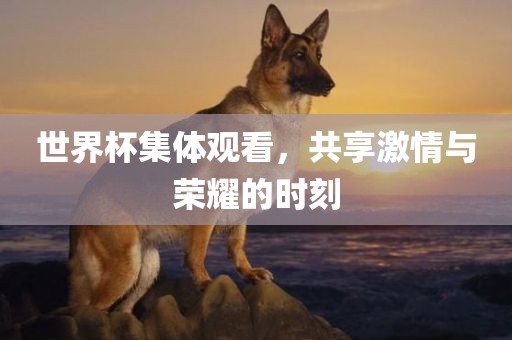 世界杯集体观看，共享激情与荣耀眉山市正发家政服务有限公司的时刻