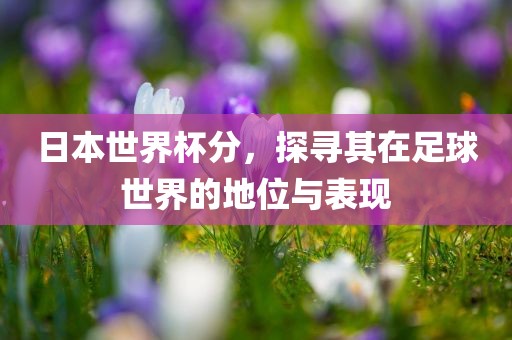 日本世界杯分，探寻其在足球世界的地位与表现