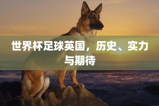 世界杯足球英国，历史、实力与期待眉山市正发家政服务有限公司