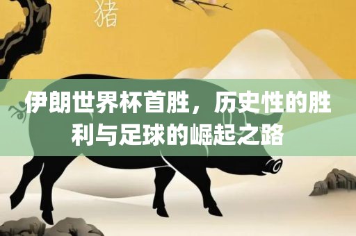 伊朗世界杯首胜，历史性的胜利与足球的崛起之路